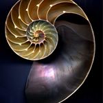 Profile Picture of Mary Featherston (@mary.featherston) on Instagram