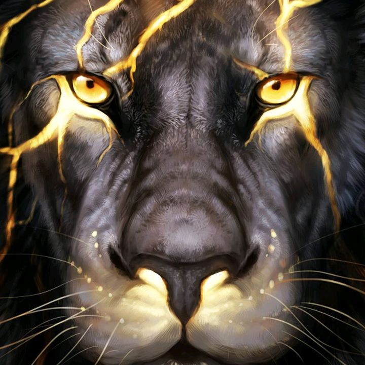 Profile Picture of @Jeffrey king lion (@jeffshamburger) on Tiktok