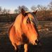 Profile Picture of René Clermont (@rene.clermont.14) on Facebook