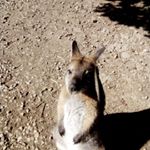 Profile Picture of Stuart Milner (@milner_stuart) on Instagram