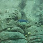 Profile Picture of Ben Wilks (@ben_wilks_) on Instagram