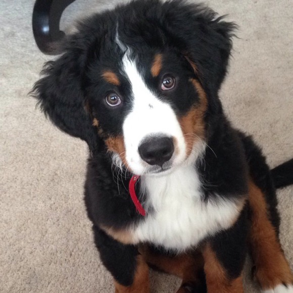 Hannah Stoll - Poshmark Profile Picture of Hannah Stoll (@hannahstoll) on Poshmark