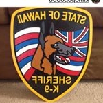 Profile Picture of Jim Barnes (@kimopopo808) on Instagram