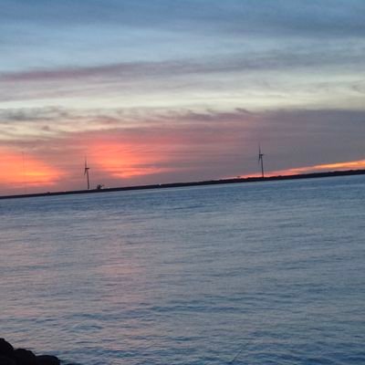 Profile Picture of Mark Lascano (@MarkLascano6) on Twitter