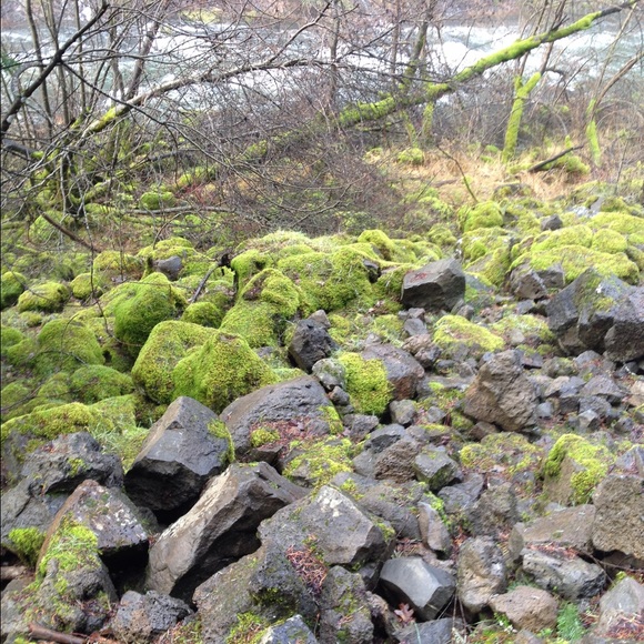 Olivia Harter - Poshmark Profile Picture of Olivia Harter (@oliviaharter) on Poshmark