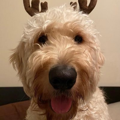 Profile Picture of Jonathan Kwan (@jonathankwan) on Twitter