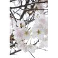 Profile Picture of Myranda Austin (@myranda-austin-1) on Quora