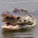 Denis Aitchison Kerri Bolt - Facebook Profile Picture of Denis Aitchison Kerri Bolt (@denis.aitchison.5) on Facebook