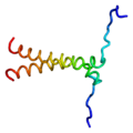 Profile Picture of BNIP3on Wikipedia