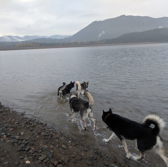 Profile Picture of Jessica Maciorowski (@happypaws1016) on Poshmark