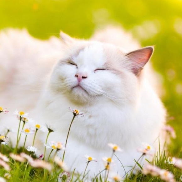 Profile Picture of Jamir Wade (@jamirwade176) on Poshmark