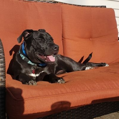Profile Picture of Brandon Wilkinson (@BDWilkinson24) on Twitter