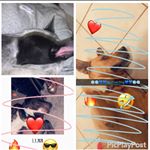 Profile Picture of Sheldon.King.Xena (@baddogs_sheldon.xena.king) on Instagram