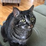 Profile Picture of Ellis Murchison (@murk48) on Instagram