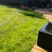 Profile Picture of Luke Winkelmans (@luke-winkelmans) on Quora