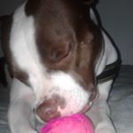 Profile Picture of Felipe Hoyos (@felipe.hoyos.3720) on Instagram