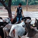 Profile Picture of Màñîsh Yadav (Mamma) (@manishyadav1547) on Instagram