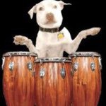 Toby McAllister - Instagram Profile Picture of Toby McAllister (@toproforsnow) on Instagram