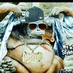 Profile Picture of cesar perez jarquin (@cesarperezjarquin) on Instagram