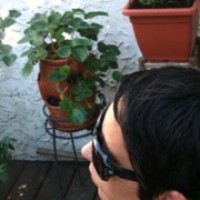 Profile Picture of Olivia Alvarez (@olivia-alvarez-1) on Quora