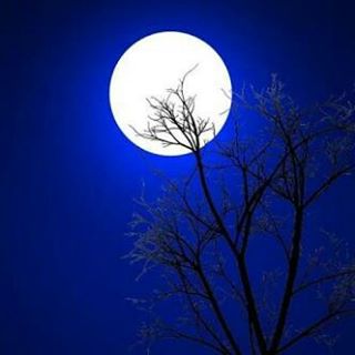 Profile Picture of Andy Domino (@andy.domino.37) on Facebook