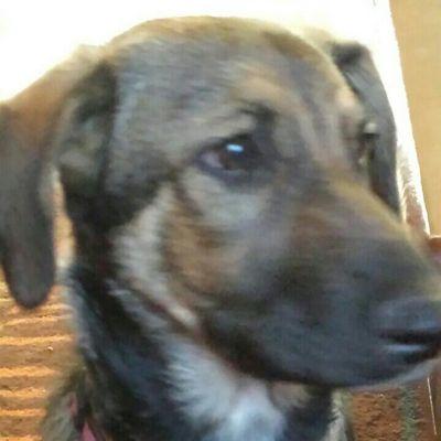 Profile Picture of Lori Carlton (@carlton_lori) on Twitter