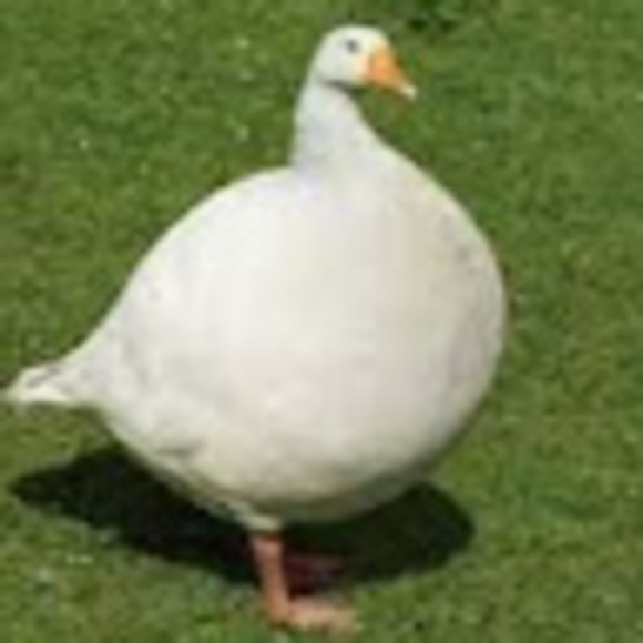 Profile Picture of Kennedy Leonard (@kennedyleonardb) on Poshmark