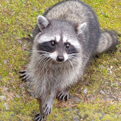 Profile Picture of Jeff Bae (@jeffbae6820) on Youtube