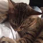 Profile Picture of Gerald (@gerald_bestboi) on Instagram