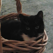 Profile Picture of Selena Weaver (@selenaweaver1582) on Youtube