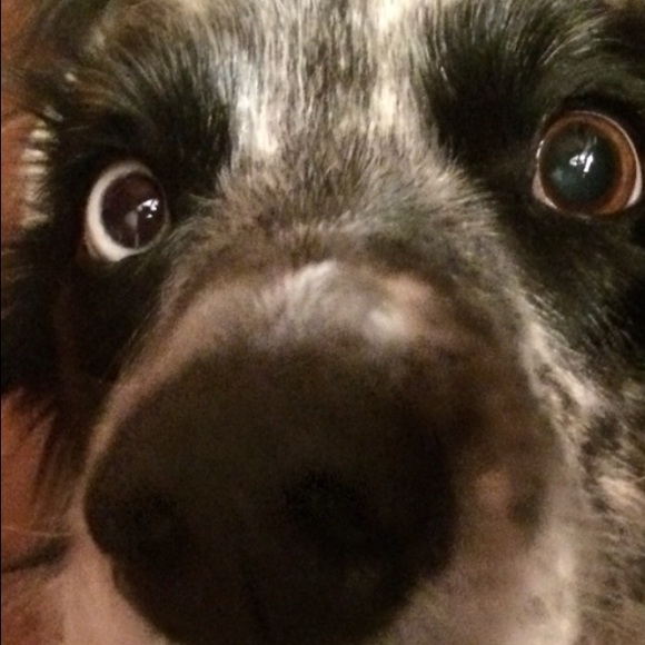 Audrey Concepcion - Poshmark Profile Picture of Audrey Concepcion (@winchesterdg1) on Poshmark