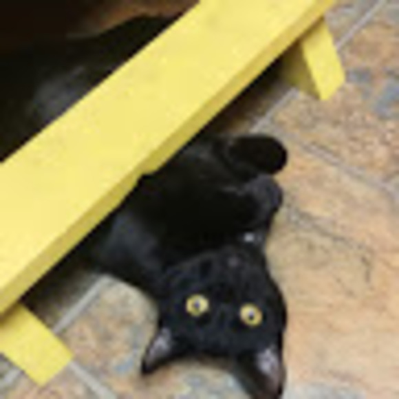 Profile Picture of Andrea Mcelroy (@andreabelle2006) on Poshmark