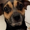 Profile Picture of Sherry Liu (@@m0n5t4r_k1w1) on Tiktok