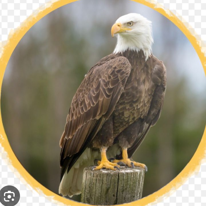 Profile Picture of Scott (@dillan81) on Tiktok