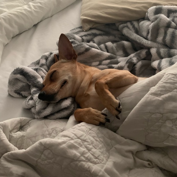 Profile Picture of James Lickteig (@james_lickteig) on Poshmark