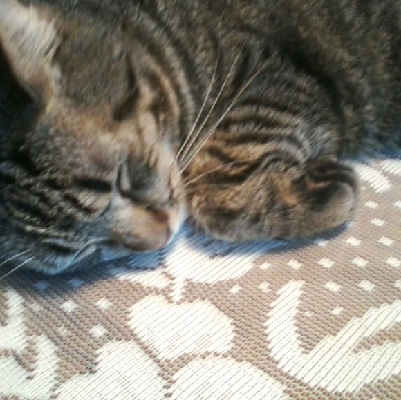 Barrbarr Barru - Poshmark Profile Picture of Barrbarr Barru (@barrbarr_barru) on Poshmark