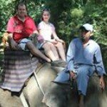 Profile Picture of Stuart Frost (@froststuart) on Instagram