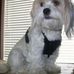 Profile Picture of Buddy Dallin Southwick (@buddy.d.southwick) on Facebook