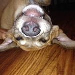 Profile Picture of Daniel Pakkala (@lazeroneday) on Instagram