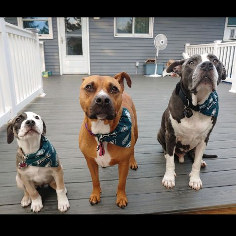 Profile Picture of heather donnelly (@heather.donnelly) on Tiktok