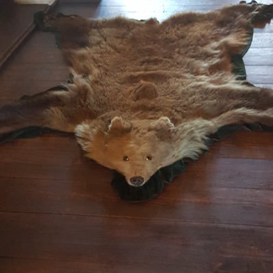 Profile Picture of Devin Herman (@DHerman21) on Twitter