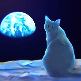 Profile Picture of Andrew Diperry (@andrew.diperry.1) on Facebook