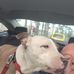 Profile Picture of Herbert Pearce (@herbert.pearce.104) on Facebook
