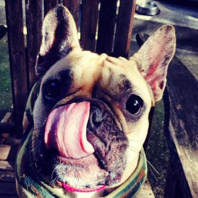 Profile Picture of Mark Fortney (@markofort) on Twitter