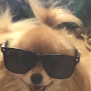 Profile Picture of Ian (@ianallard) on Instagram