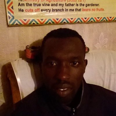 Profile Picture of Stephen Collins Otis (@CollinsStevOtis) on Twitter