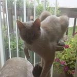 Profile Picture of James Larimore (@jiml61944) on Instagram