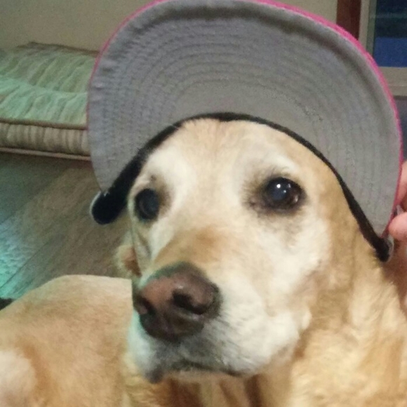 Profile Picture of Matt Armstrong (@wazzupoh) on Poshmark