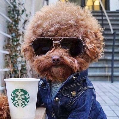 Profile Picture of Andyyy (@andy_chavarria1) on Twitter