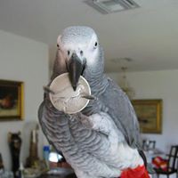 Profile Picture of Joel Ruth (@joel-ruth-3) on Quora